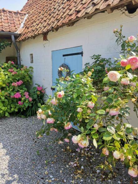 Wirwignes Le Clos De La Rose Gite Bien Etre מראה חיצוני תמונה